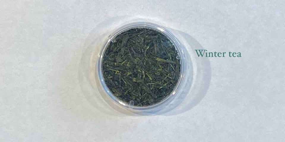【一三四茶やぶきた 一煎 TEA BAG ver】やぶきた品種 〔お茶 ギフト 贈答〕