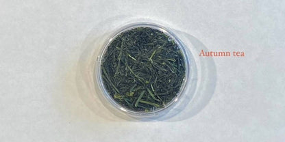 【一三四茶おくみどり 一煎 TEA BAG ver】おくみどり品種 〔お茶 ギフト 贈答〕