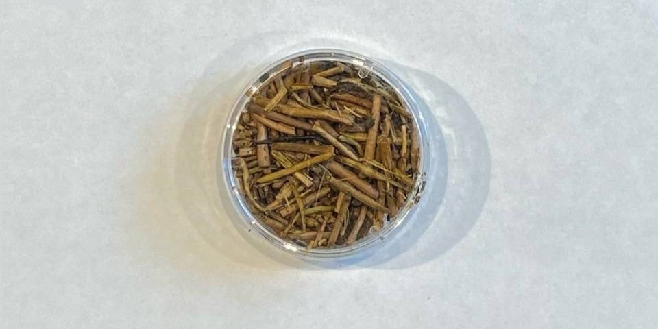 【加賀棒ほうじ茶 一煎 TEA BAG ver】 〔お茶 ギフト 贈答〕