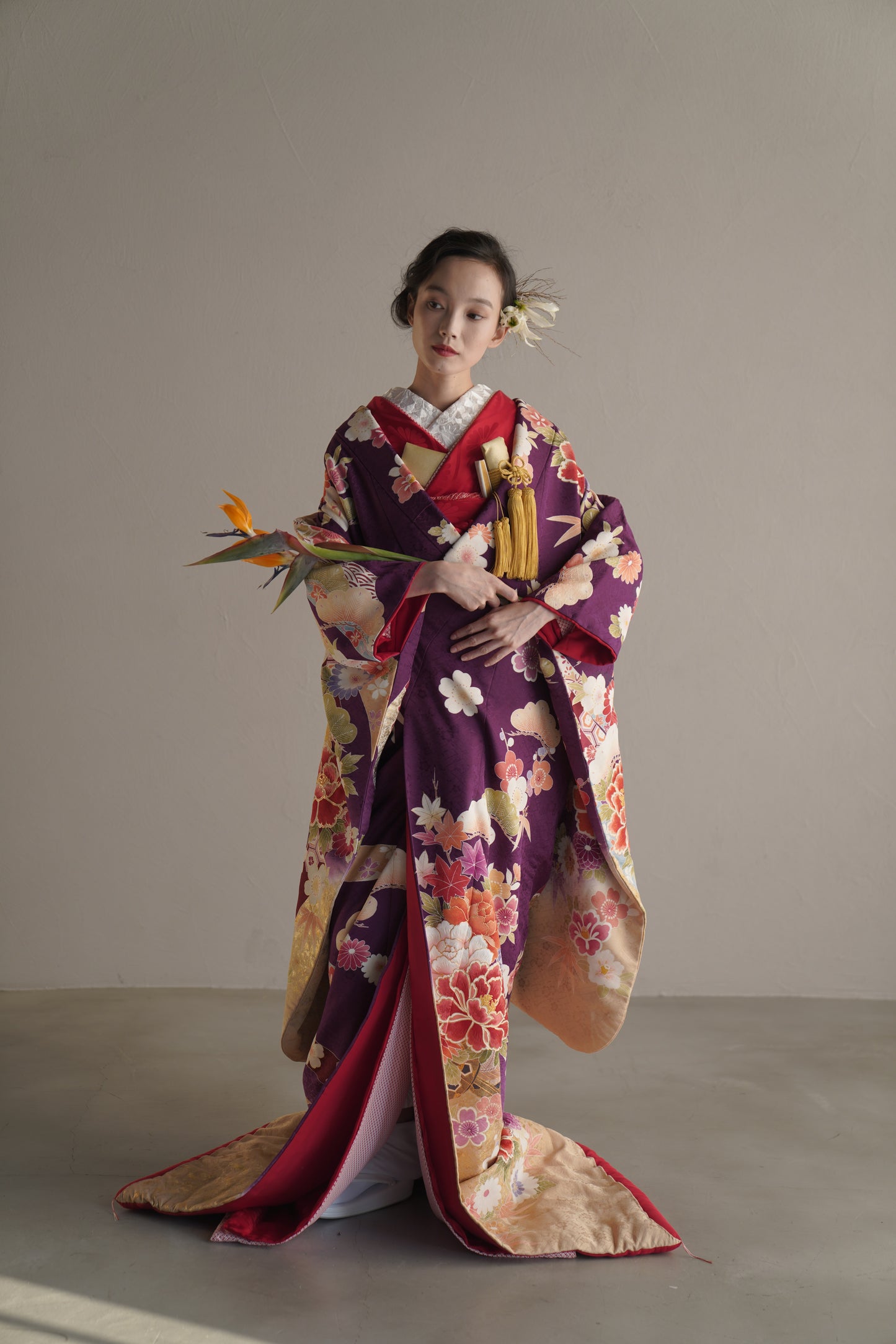 紫雅の梅牡丹【結婚式 和装 色打掛 レンタル】
