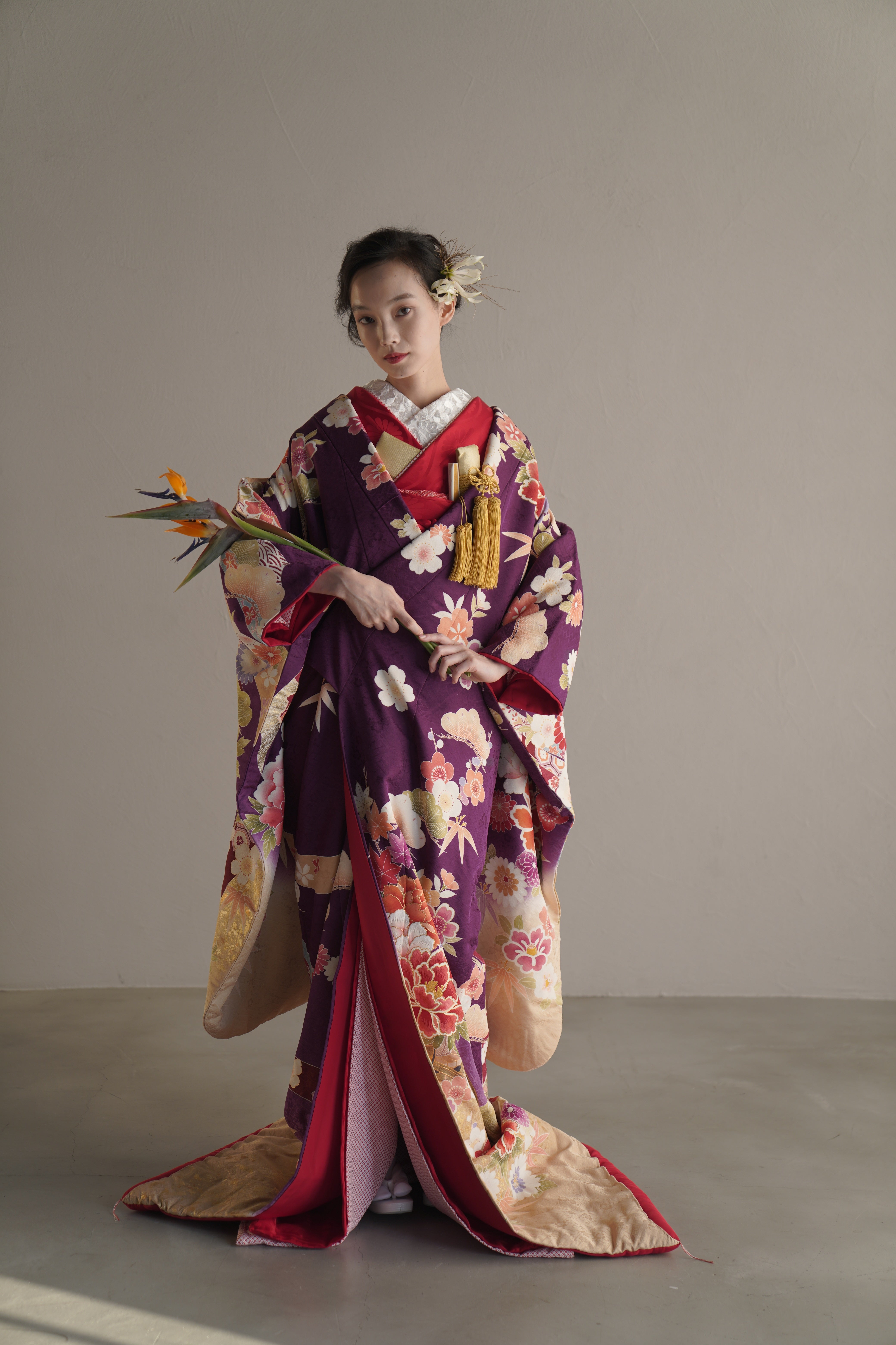 紫雅の梅牡丹【結婚式 和装 色打掛 レンタル】 – 結婚式準備サイトCORDY