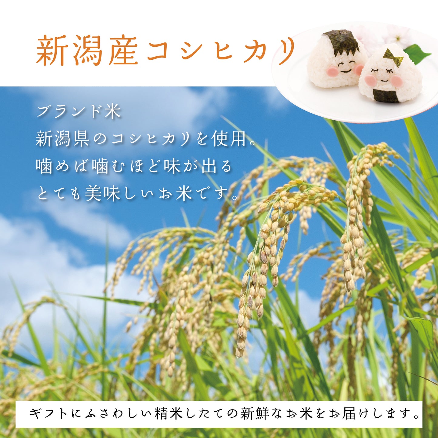 【生まれたばかりの新米夫婦です】新郎新婦のお名前入り俵形体重米で両親贈呈に【写真タイプ2個セット】