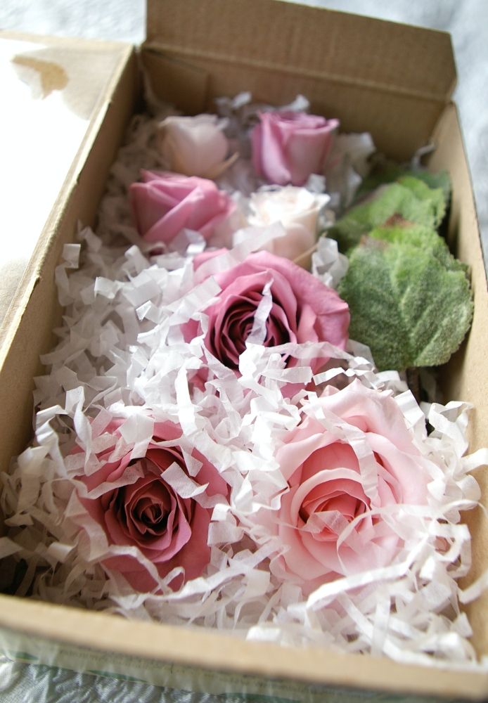 【プリザーブド】オーダーメイド[ラウンドブーケセット] 【結婚式 フラワー ドライフラワー ブーケ ブートニア オーダーメイド】