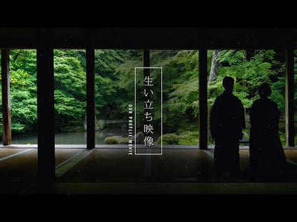 プロフィールムービー【STAY】【結婚式 ムービー プロフィール】