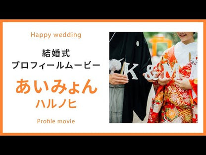 【プロフィール】ハルノヒ　あいみょん　【結婚式　ムービー　プロフィール】