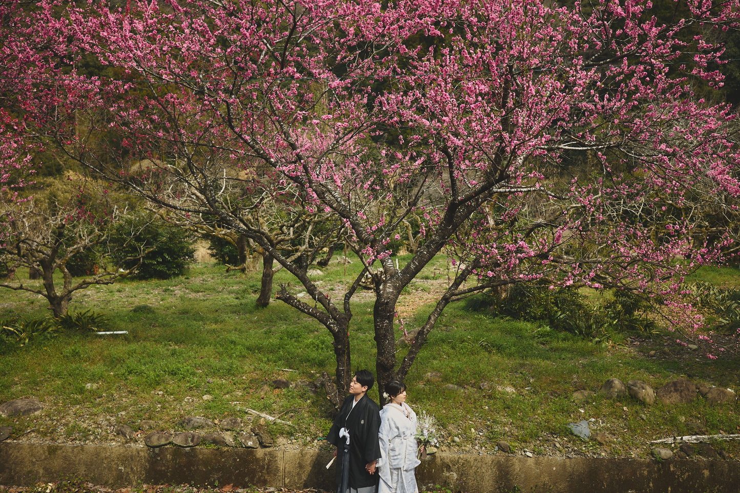 和洋装プラン【フォトウェディング 前撮り】