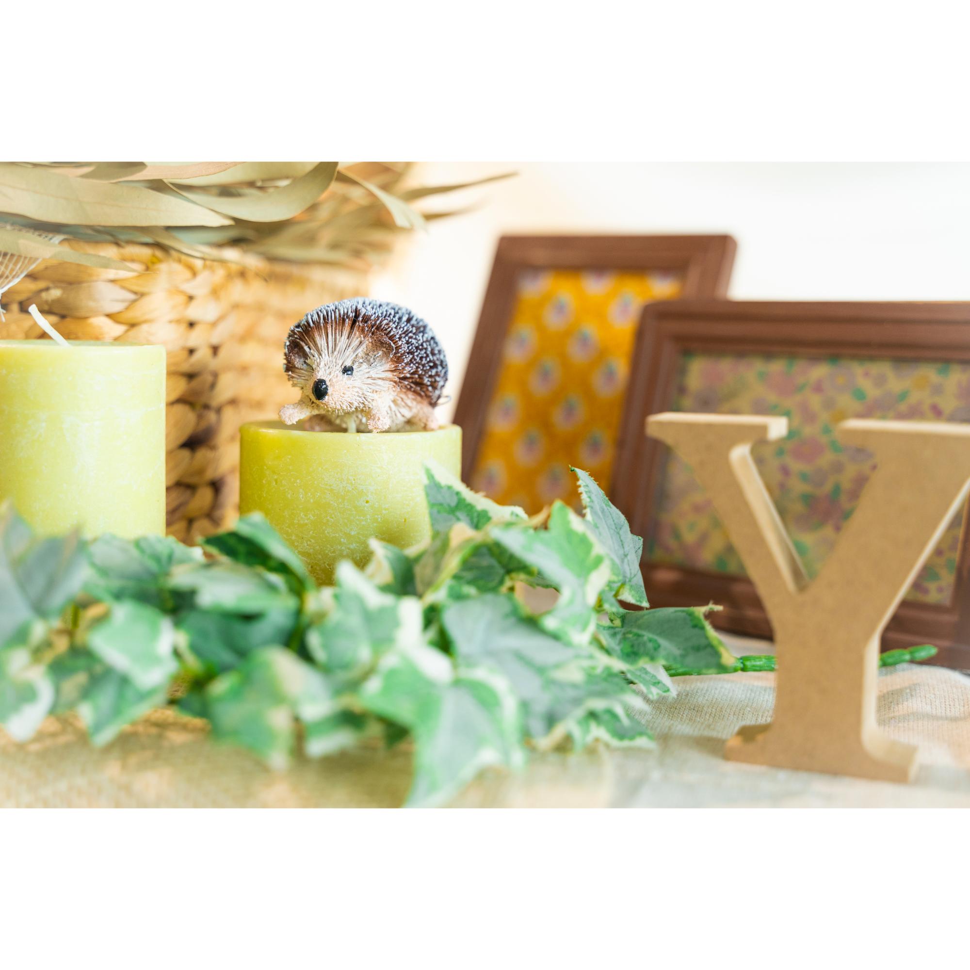 3泊4日レンタル】ナチュラルコーディネートセット ガーデン