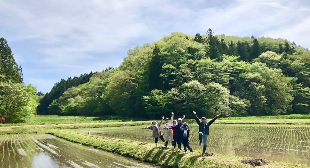 【令和6年産 新米】コシヒカリアモーレ　白米5kg　【結婚式　ギフト　縁起物】