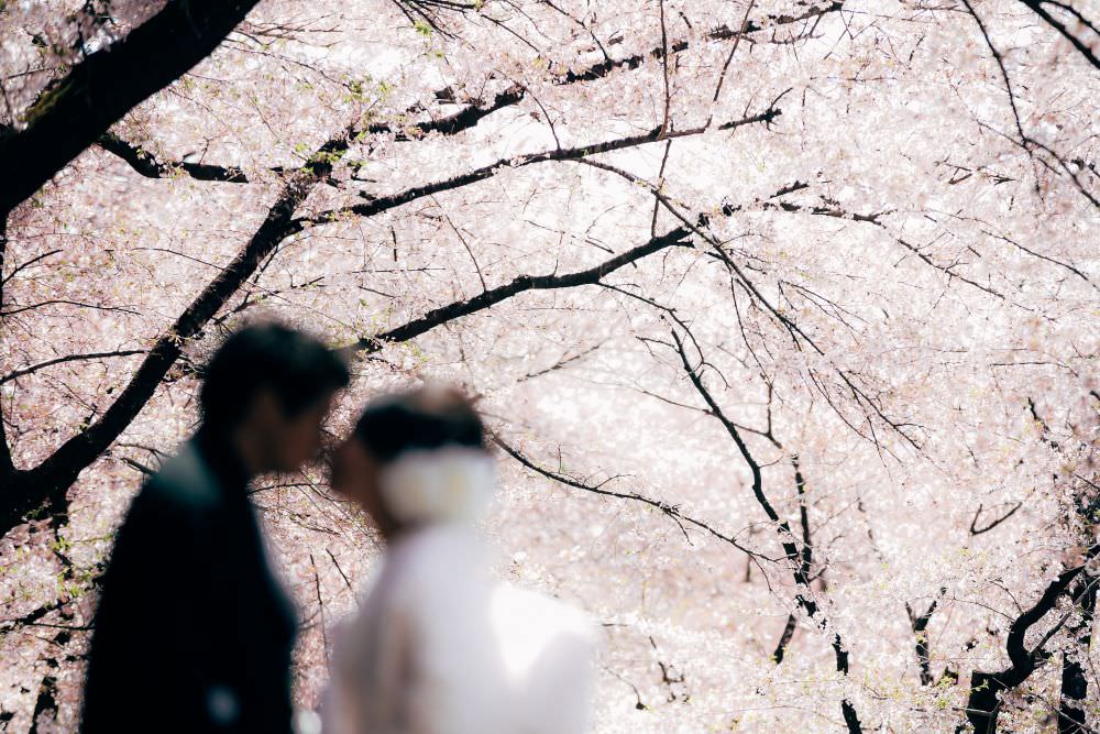 【フォトウェディング】東京都　春爛漫❀桜ロケーションフォト　【結婚式　写真　フォト　撮影】