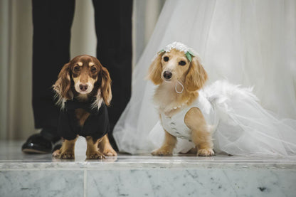 愛犬とお揃い/オーダータキシードセット 【結婚式 タキシード オーダーメイド】