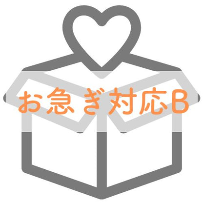 お急ぎ対応B【※事前にご相談ください】