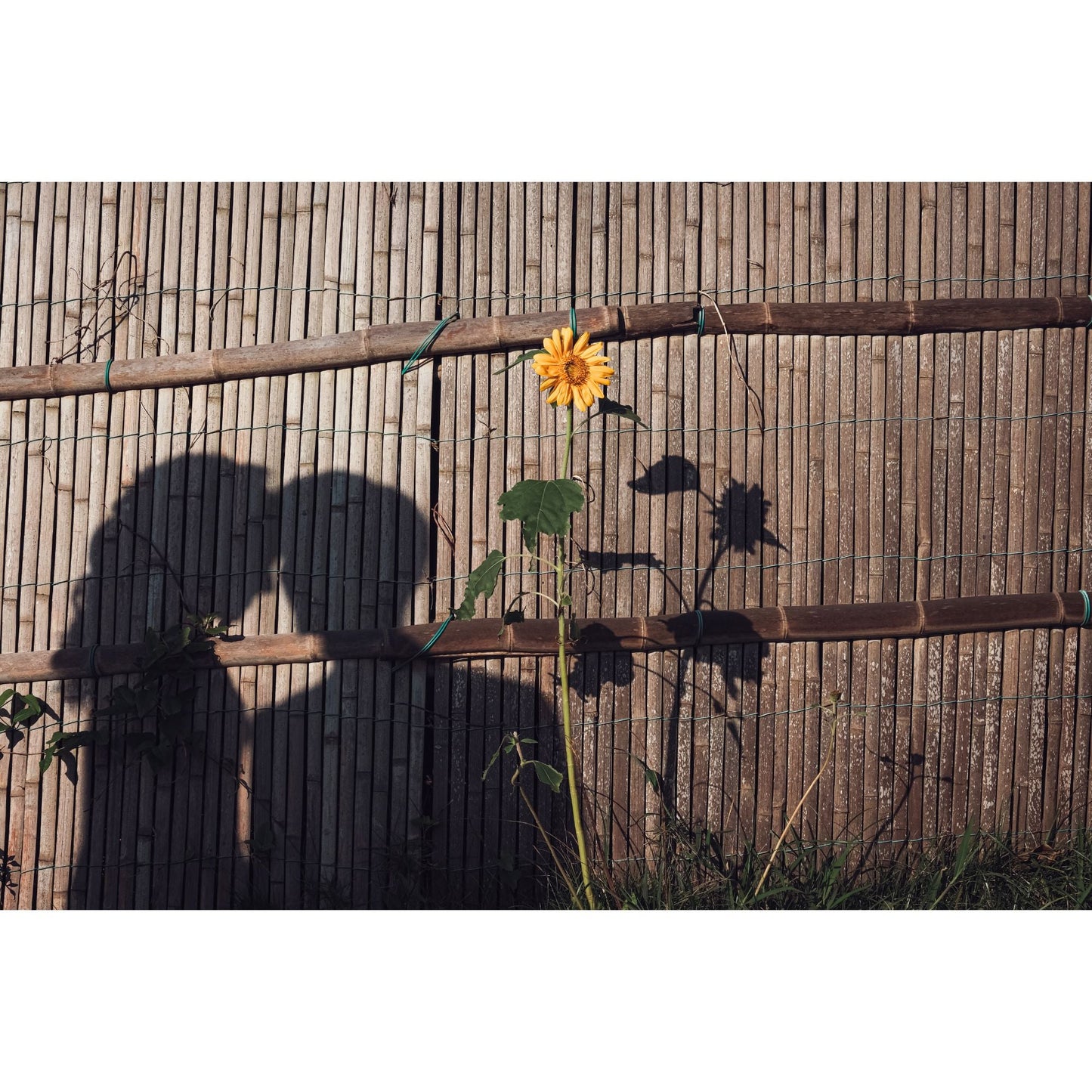 洋装&和装ロケーションプラン 【結婚式 写真 フォトウェディング】