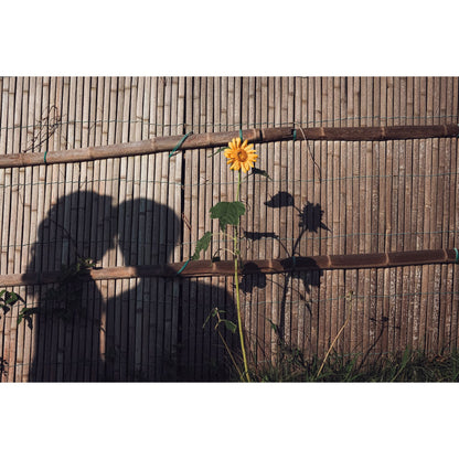 洋装&和装ロケーションプラン 【結婚式 写真 フォトウェディング】