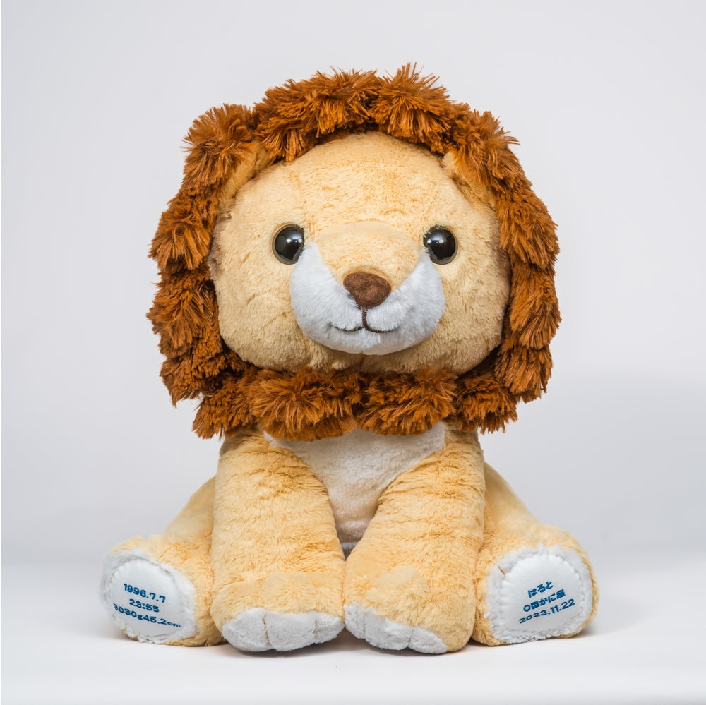 OKINIIRIウェイトドール (スーパー) 【結婚式 披露宴 ギフト 両親贈呈品 ウェイトドール】