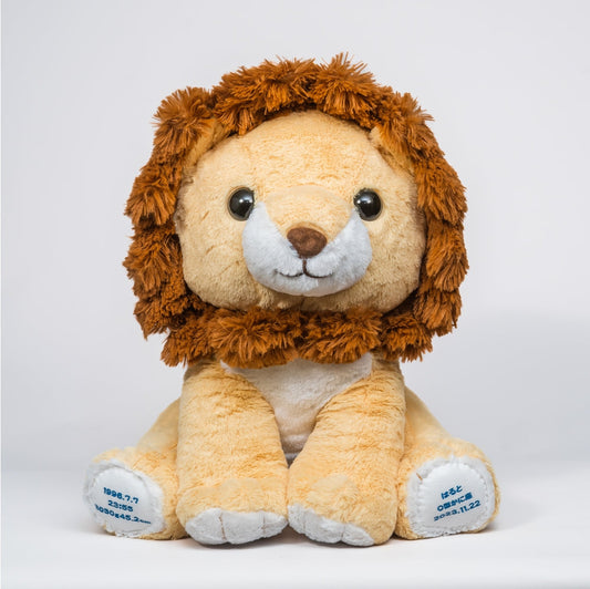 OKINIIRIウェイトドール (スーパー) 【結婚式 披露宴 ギフト 両親贈呈品 ウェイトドール】