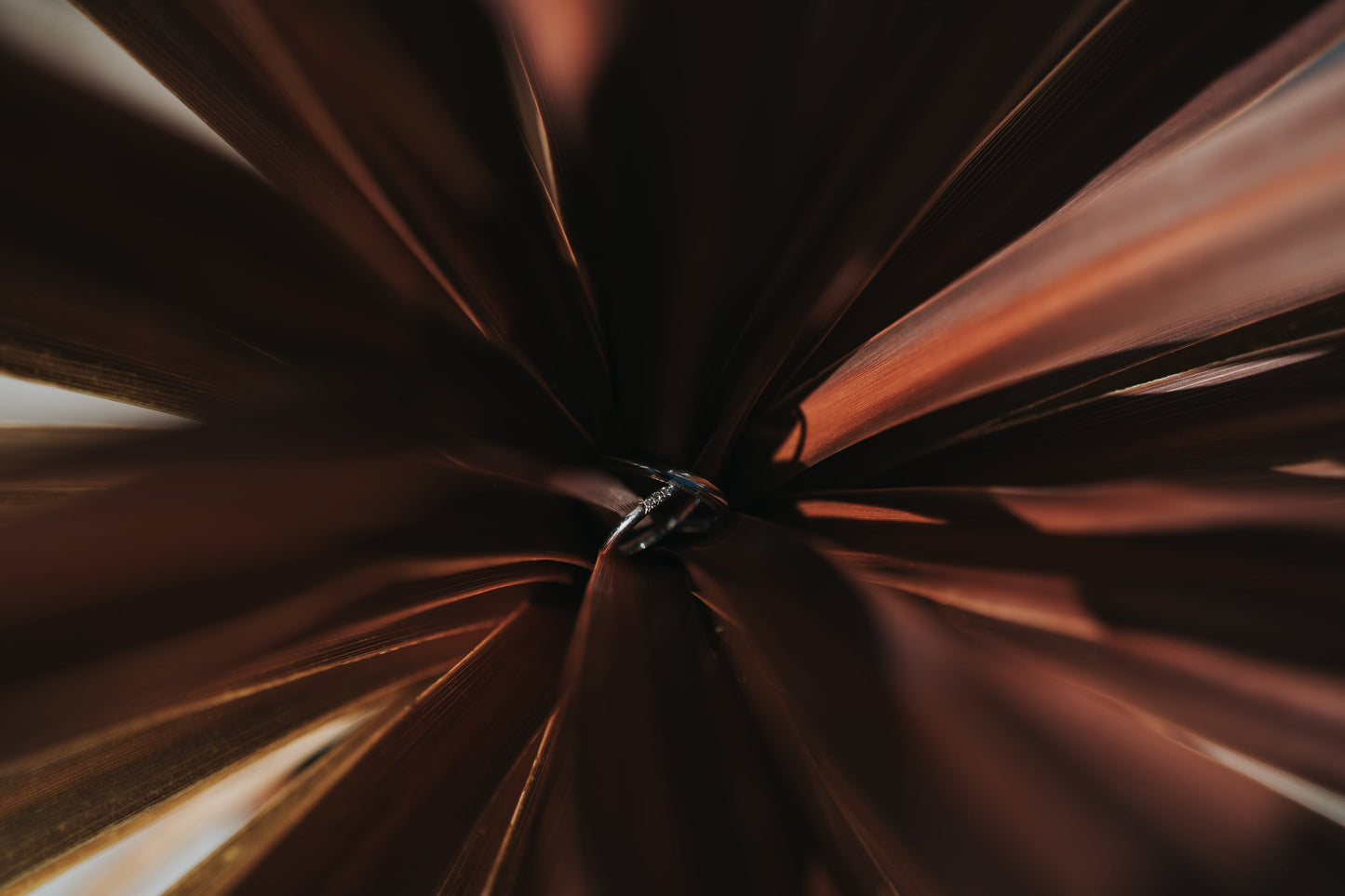 結婚式当日／挙式・披露宴撮影【結婚式 写真 フォト 撮影】