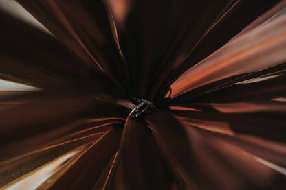 結婚式当日／挙式・披露宴撮影【結婚式 写真 フォト 撮影】