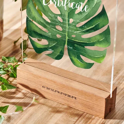 【結婚証明書】モンステラ 【結婚証明書】