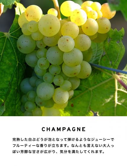 【シャンパン】 ボディスプレー　10ml　LAYERED FRAGRANCE　【結婚式　プチギフト】