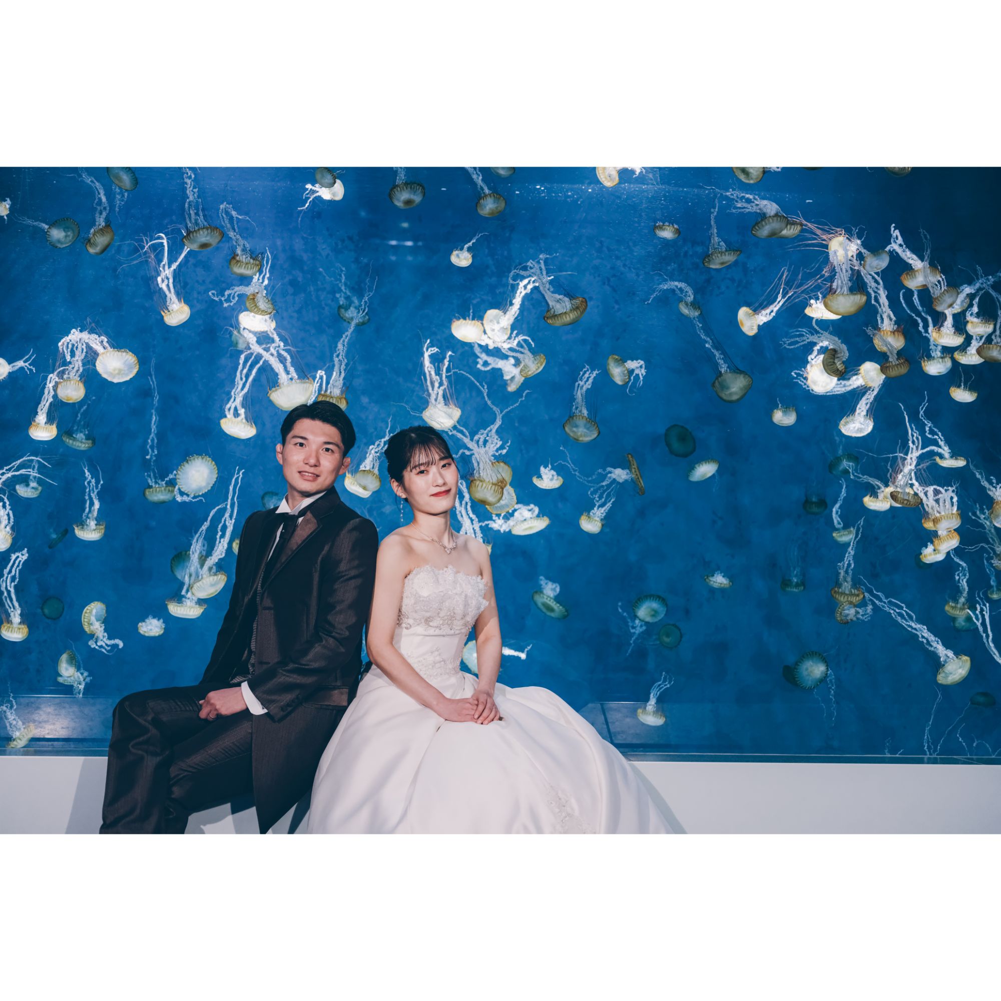 新江ノ島水族館フォトウェディング【結婚式　写真　フォトウェディング】