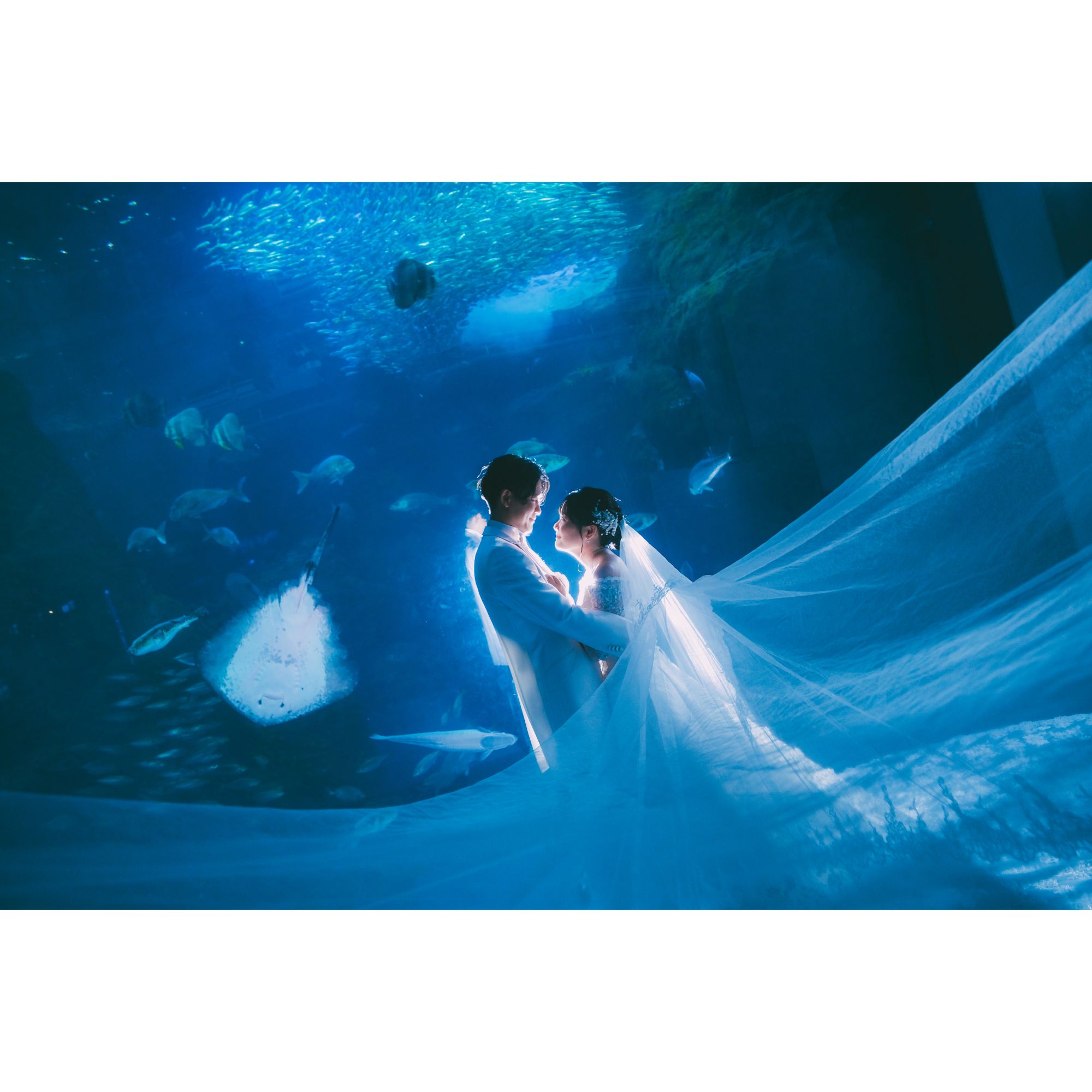 新江ノ島水族館フォトウェディング【結婚式　写真　フォトウェディング】
